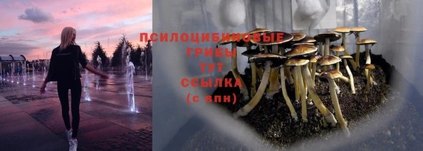 ешки Иннополис