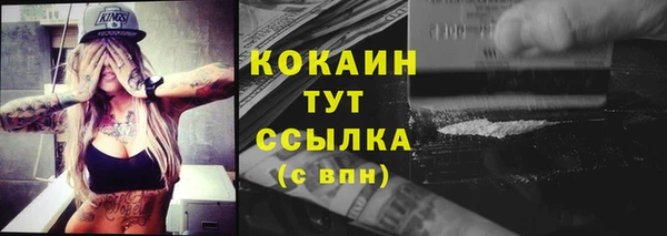 прущие грибы Касимов