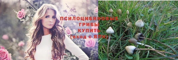 скорость Козловка