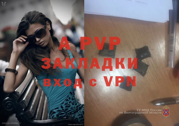 спиды Карталы