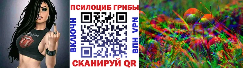 Купить закладки  Качканар  Галлюциногенные грибы Psilocybine cubensis 